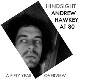front cover of Hindsight by Andrew Hawkey